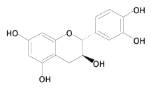 有機綠茶(圖1)