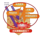 有機薏苡仁發酵液 (圖1)