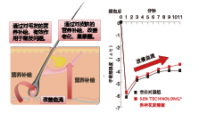 洛神花發酵液(圖2)