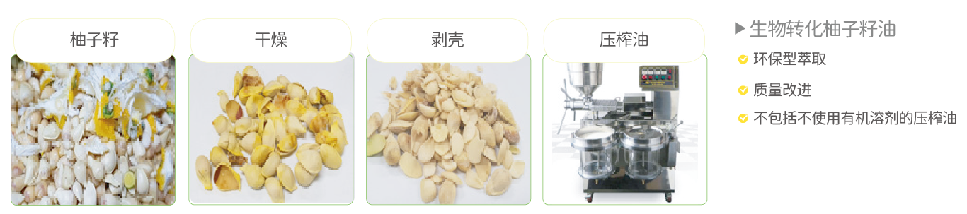 有機香橙籽油/香橙籽油脂質體(圖1)